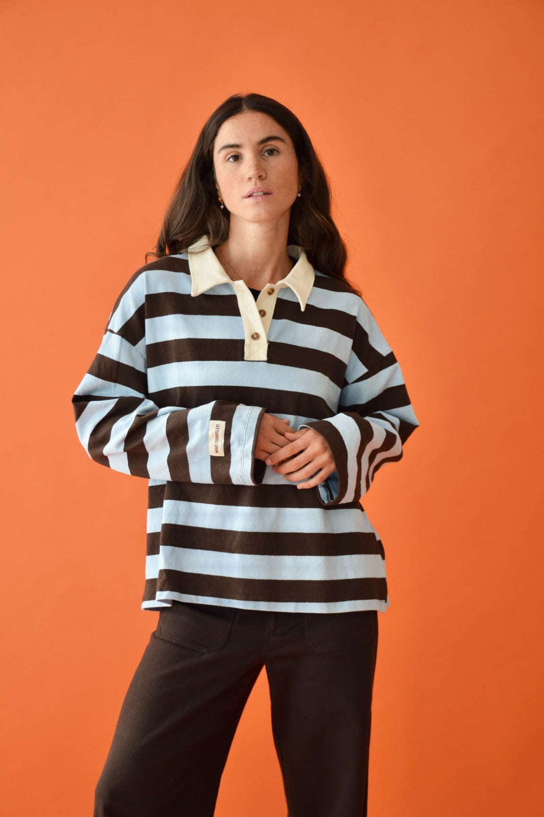 Polera Filipa Marrón y Celeste